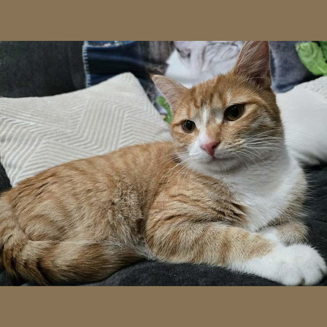 Photo of Lily