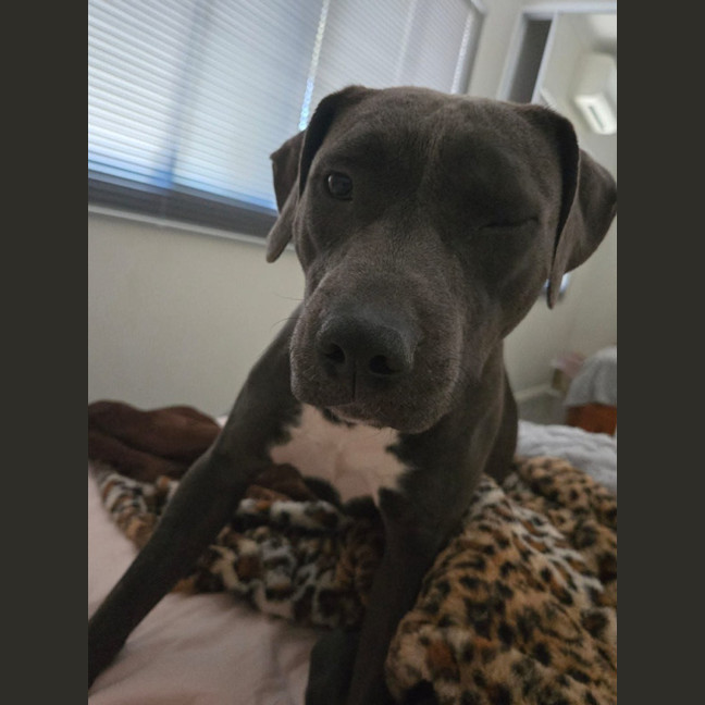 Photo of Bumble