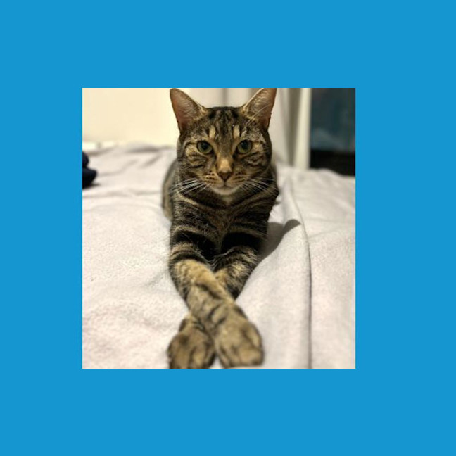 Photo of Pablo