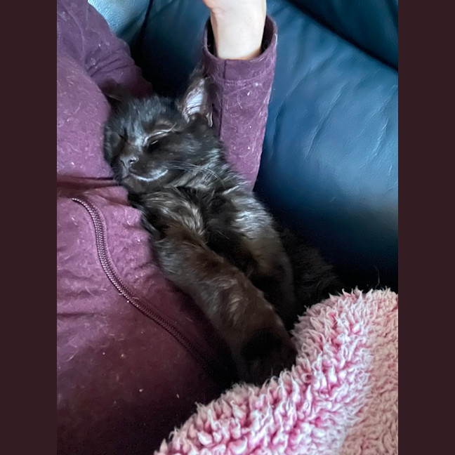 Photo of Smudge