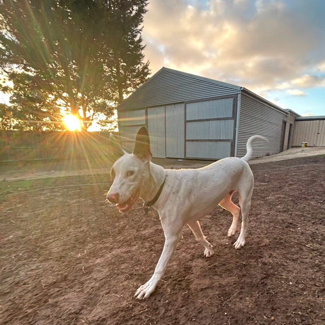 Photo of Thackery Earwicket