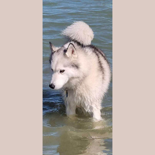 Photo of Ghost & Mirri