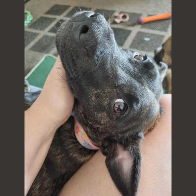 Photo of Maisey