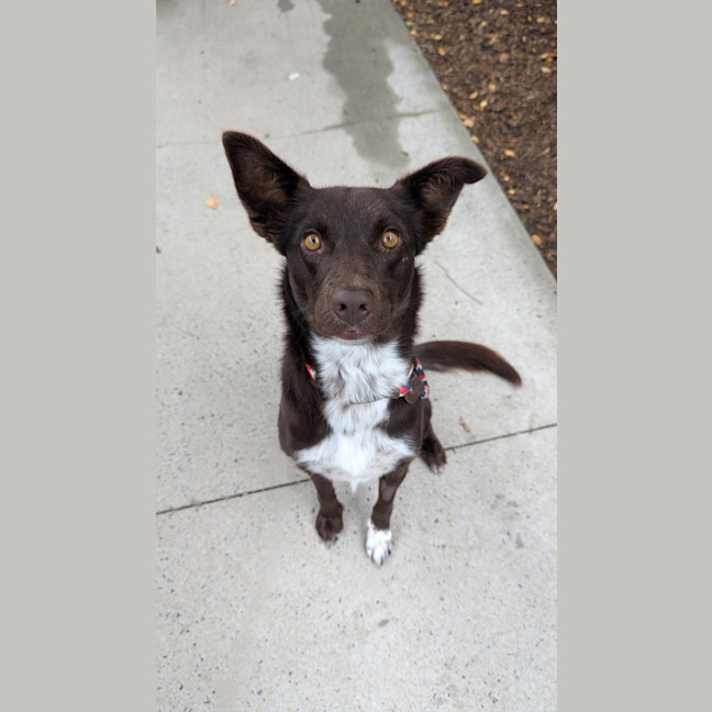 Photo of Essie