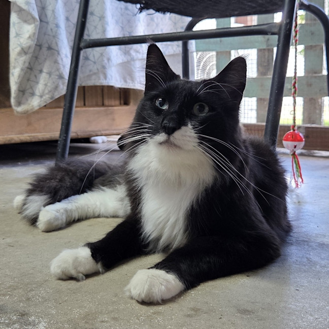 Photo of Winston