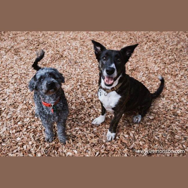 Photo of Oscar And Annika Newhaven