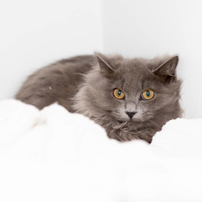 Photo of Walter 