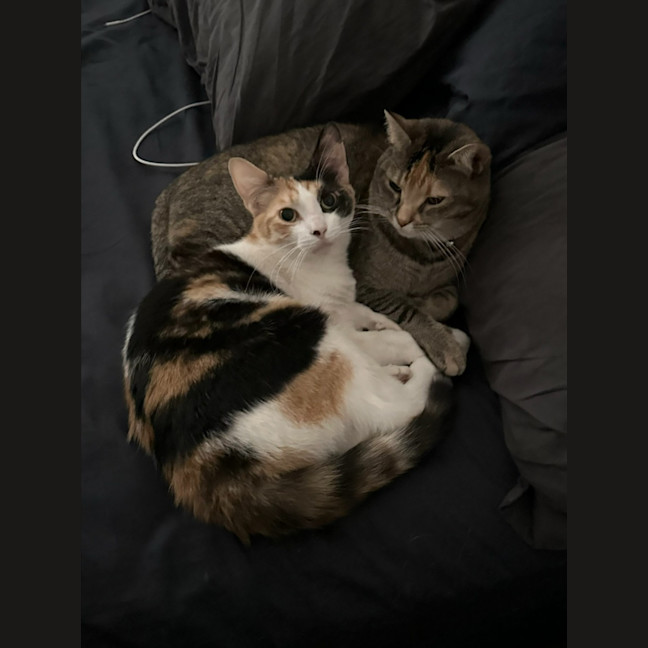 Photo of Maya & Morgan🌻🌼