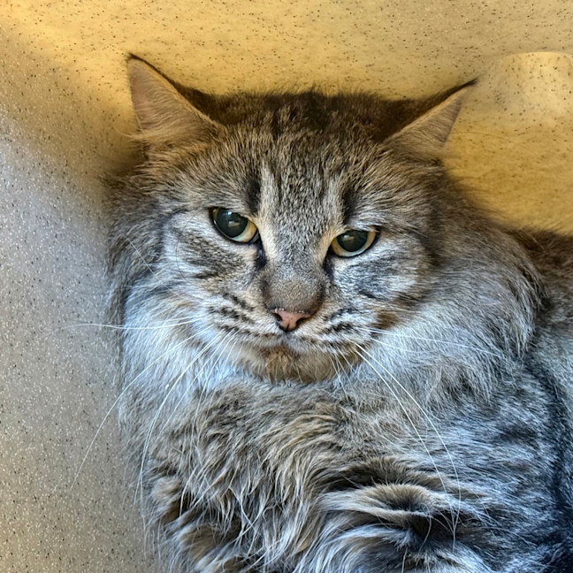 Photo of Charlotte