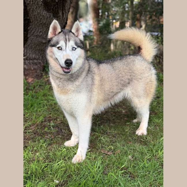 Photo of Luna