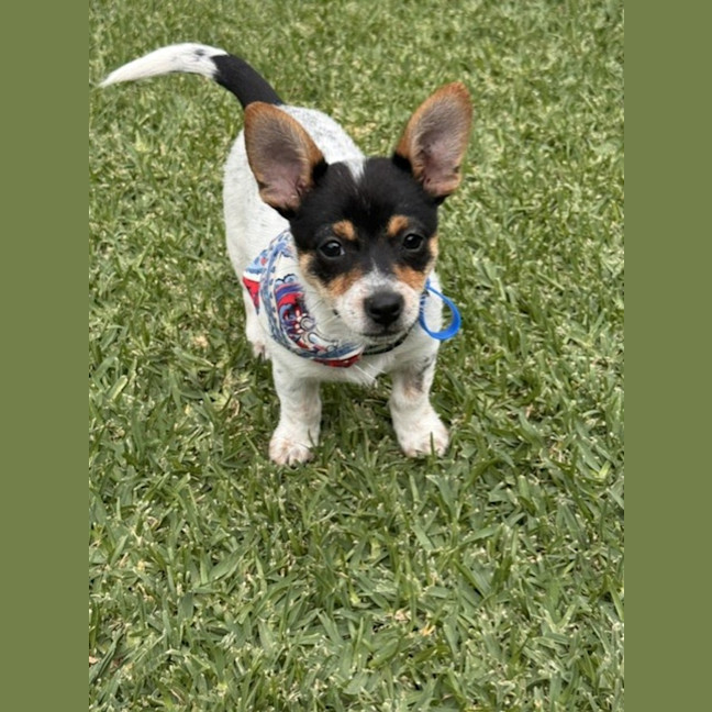 Photo of Bonnie