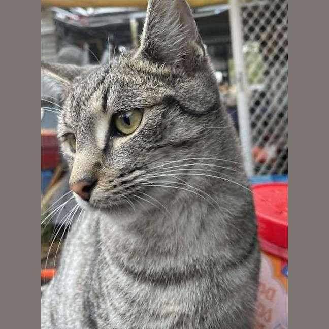 Photo of Clyde