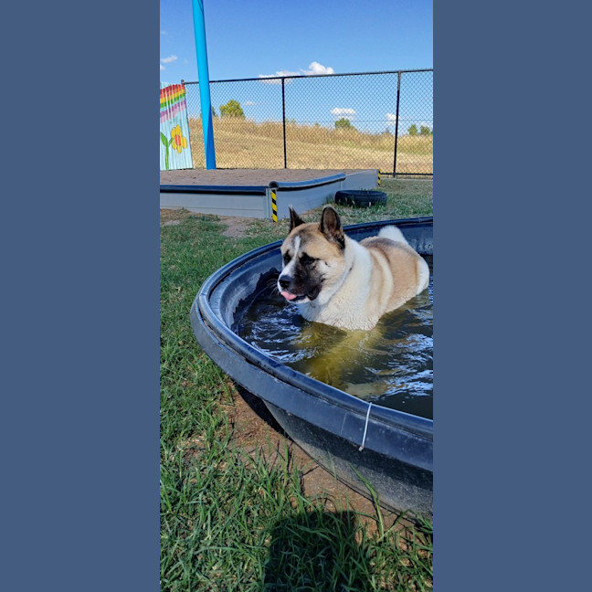 Photo of Coco