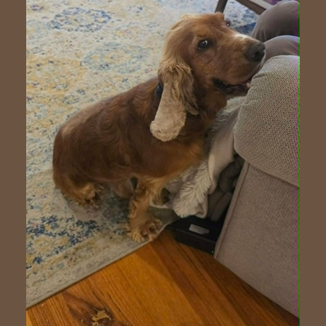 Photo of Dudley