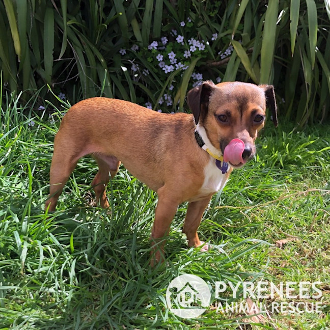 Photo of Bert And Ernie