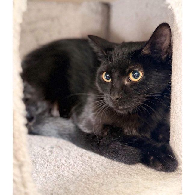 Photo of 12818   Tess