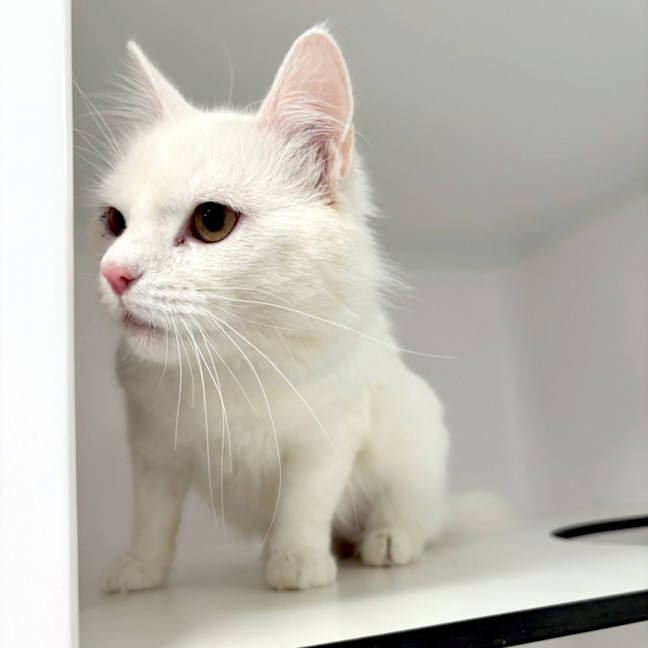 Photo of Magnus Rsta012523