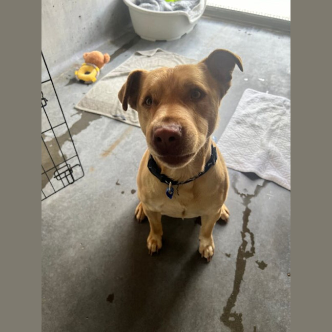 Photo of Chase