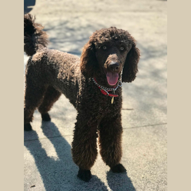 Photo of Xander