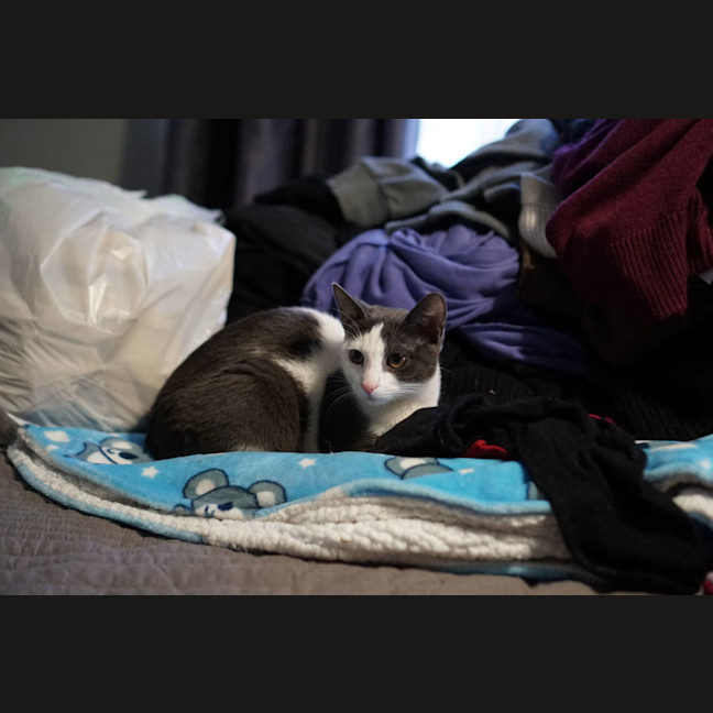Photo of Xena