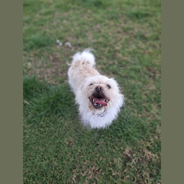 Photo of Jack Pfeffermann Hegmann