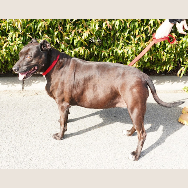 Photo of Roxy