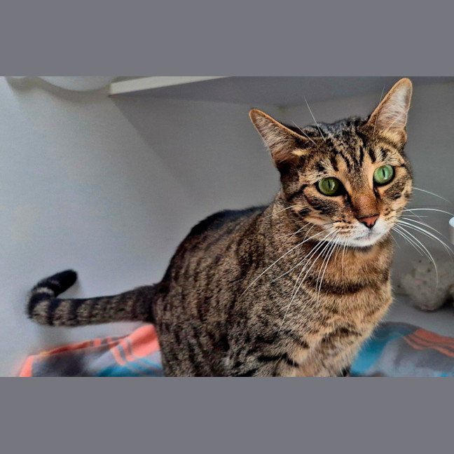 Photo of Linda (6749)