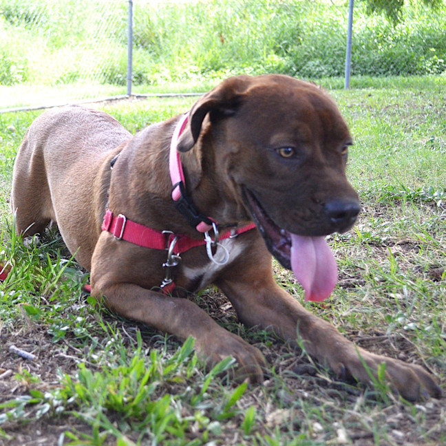 Photo of Ruby