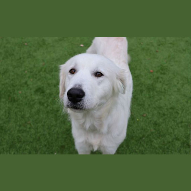 Photo of Maisy 