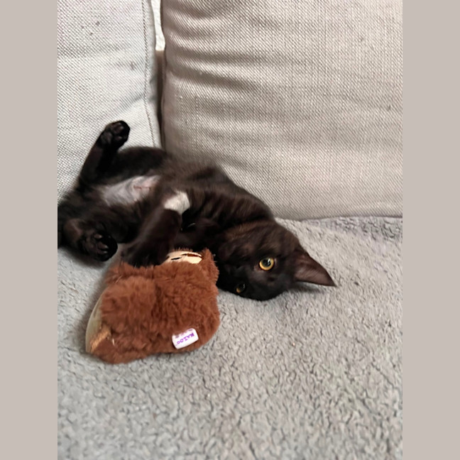 Photo of Annie