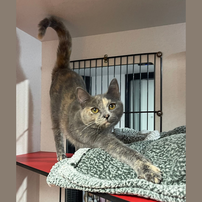 Photo of Storm