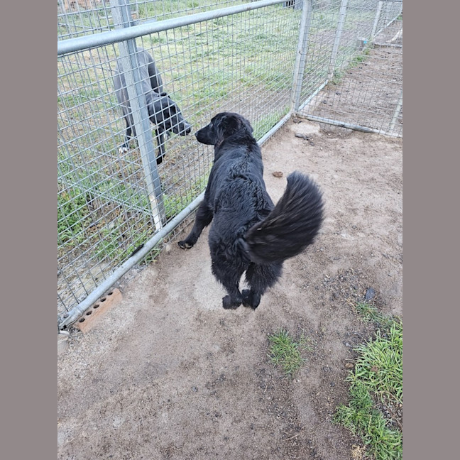 Photo of Lucy