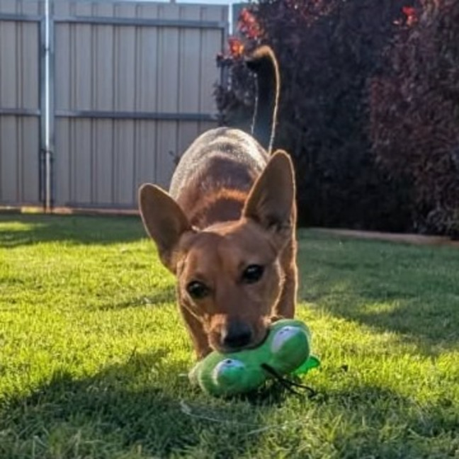 Photo of Rylo