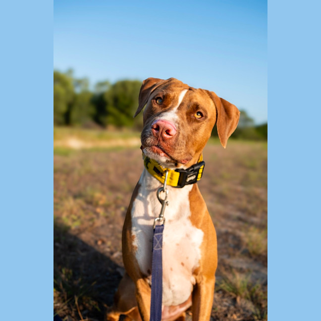 Photo of Luna