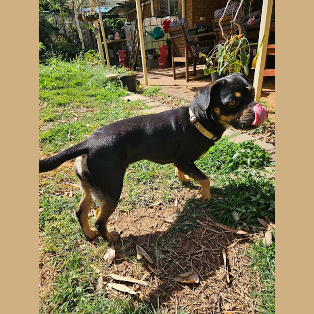 Photo of Emmy 