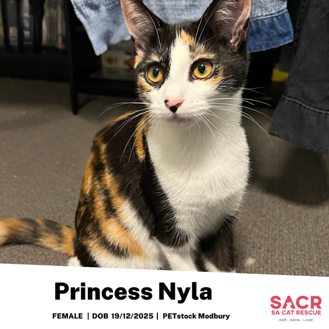 Photo of Princess Nyla