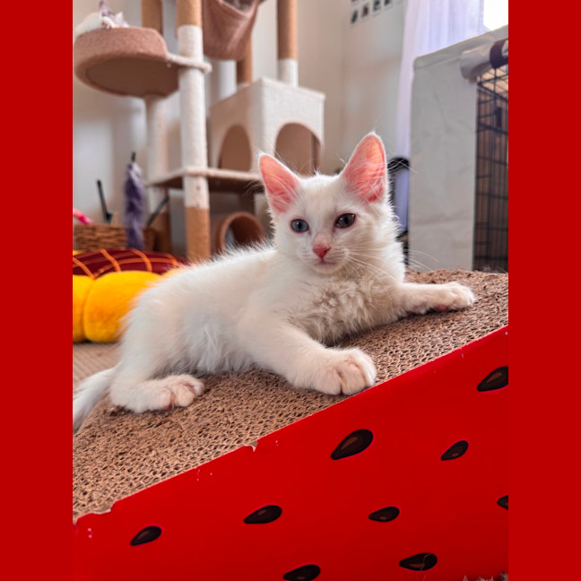 Photo of Spooky