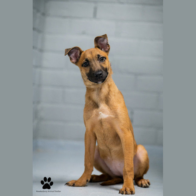 Photo of Mishka