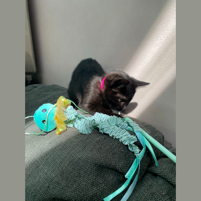 Photo of Einstein (9991)