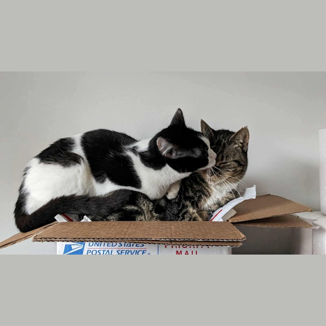 Photo of Oreo & Elisha 