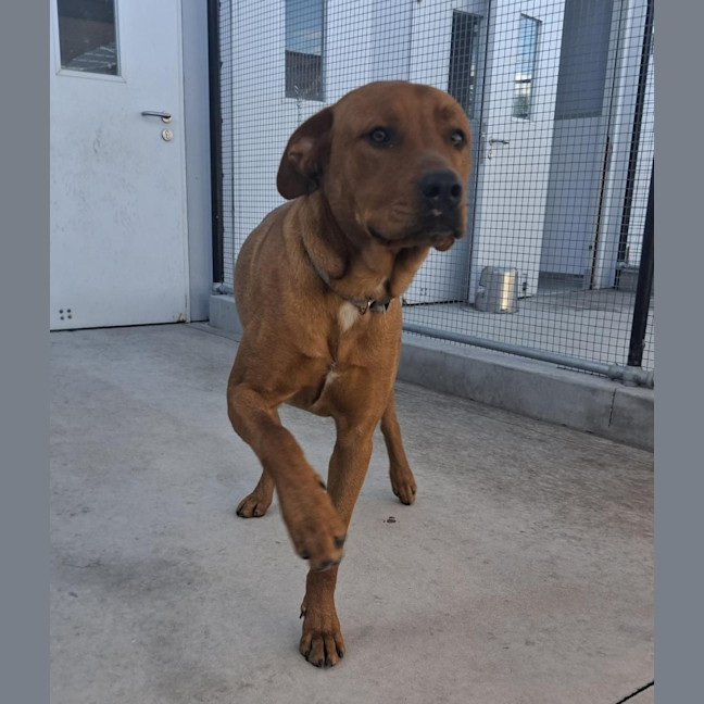 Photo of Zeus 68/2026