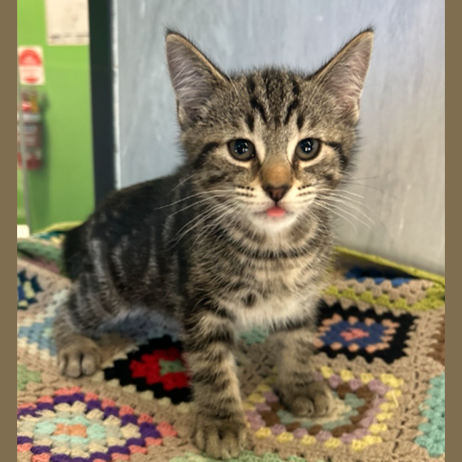 Photo of Mr. Squiggle