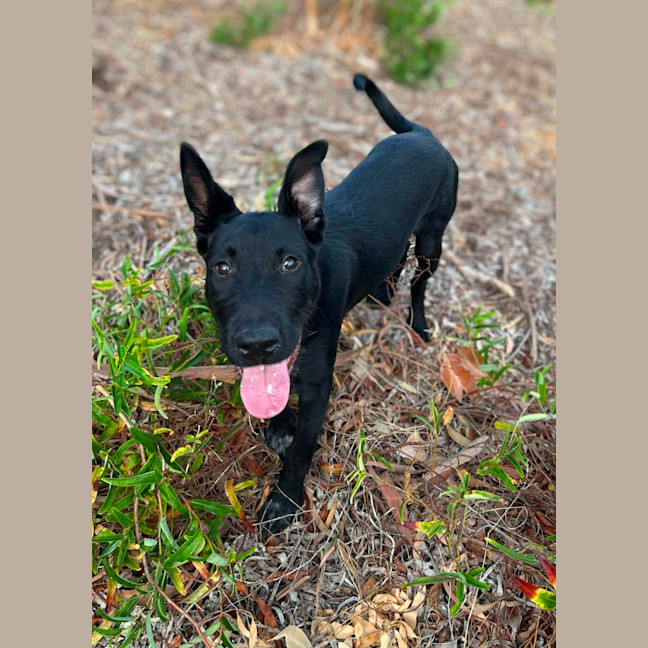 Photo of 🌱 Barnaby 5938 🌱