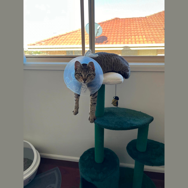 Photo of ❤️ Sarah ❤️`