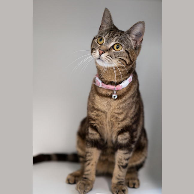 Photo of Wendy