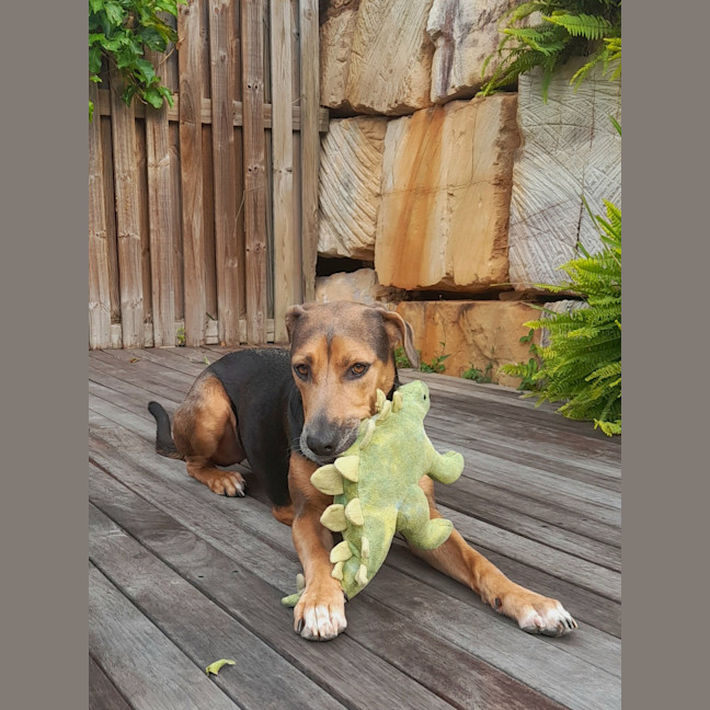 Photo of Ruby