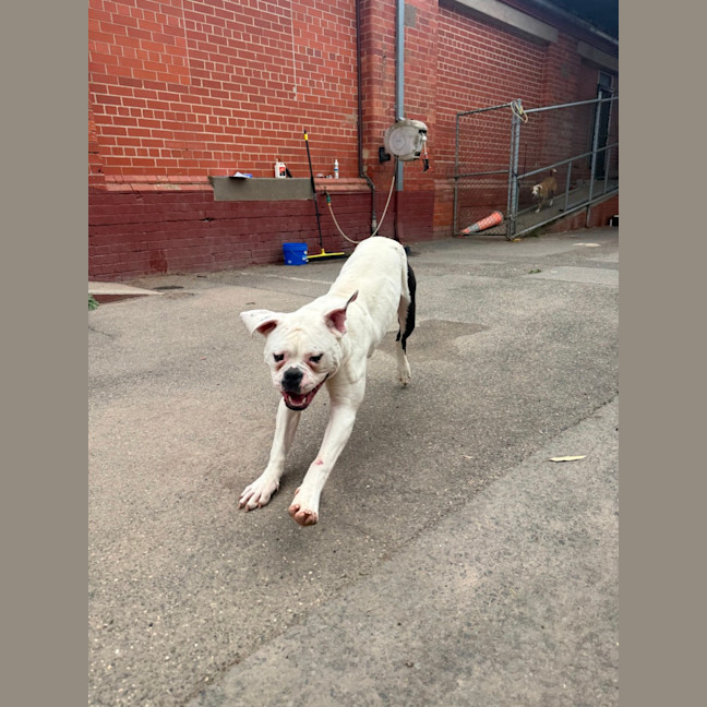 Photo of Billy