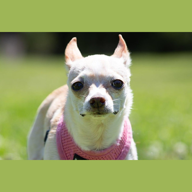 Photo of Holly Silvanus