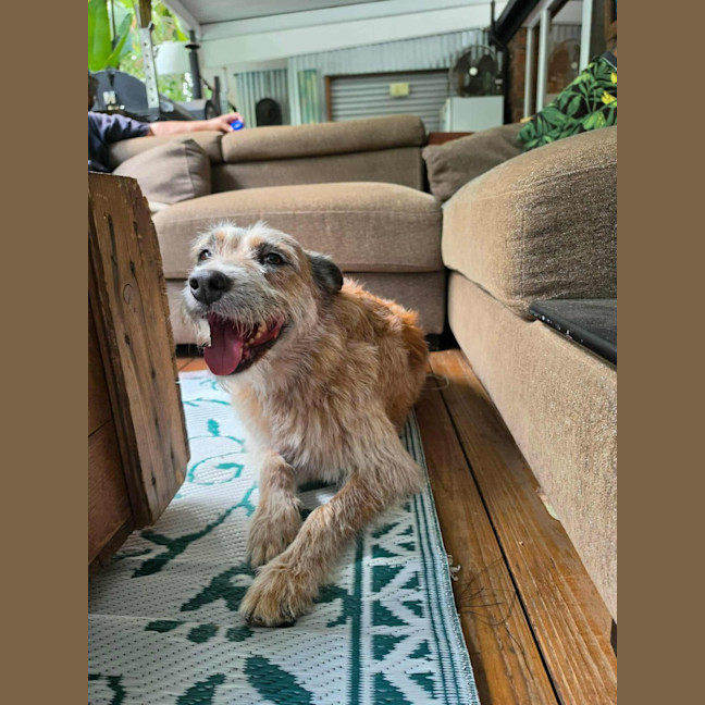 Photo of Millie