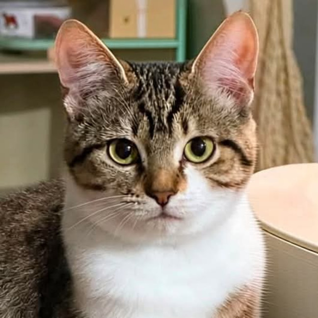 Photo of Mia